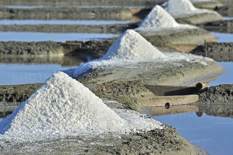 Salt pan for the poduction of Fleur de sel, sea salt on the island Ile de Ré, Charente-Maritime, France, Europe