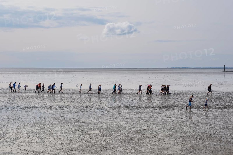 A group of pupils on a mudflat hike in the Wadden Sea National Park, low tide, Norddeich, Norden, East Frisia, Lower Saxony, Germany, Europe