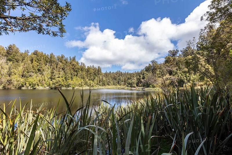 Lake Matheson Trail, New Zealand, Oceania