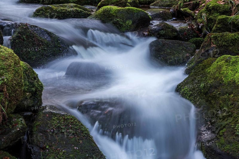 Gertelbach, Gertelbach Waterfalls, Gertelbach Falls, Gertelbach Gorge, Bühl, Bühlertal, Northern Black Forest, Black Forest, Baden-Württemberg, Germany, Europe