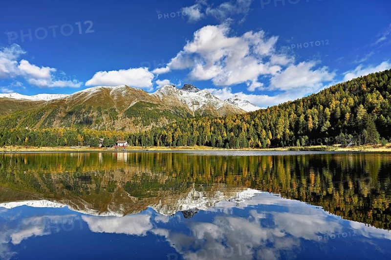Autumn atmosphere with discoloured larches, Lake Staz, Lej da Staz, St. Moritz, Engadin, Canton Graubünden, Switzerland, Europe