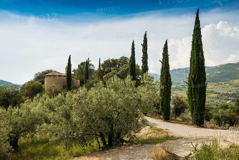 Buis-les-Baronnies, Departement Drôme, Provence, Provence-Alpes-Côte dAzur, France, Europe
