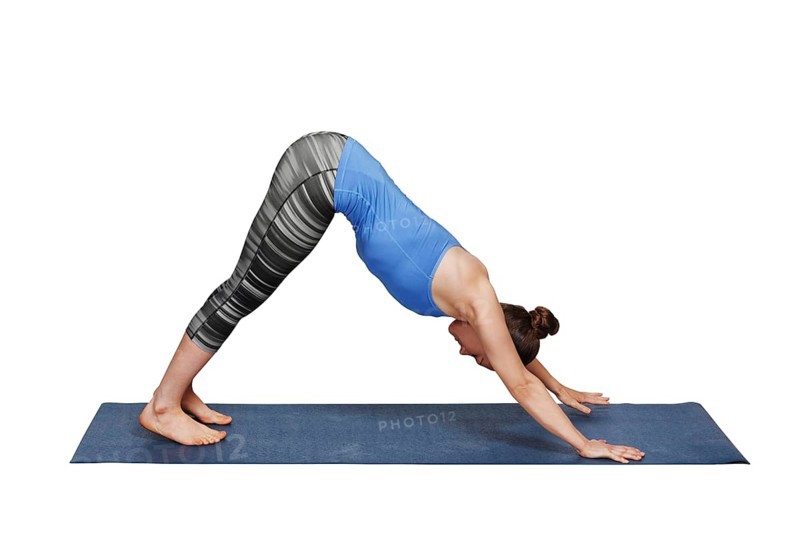 Woman doing Ashtanga Vinyasa yoga Surya Namaskar Sun Salutation asana Adhomukha svanasana, downward facing dog isolated