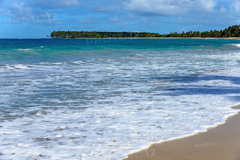 Foamy waves rolling onto a sunny, sandy beach with palm trees in the background, Limon beach, El Limón, El Seibo, Dominican Republic, Hispaniola, Caribbean, America, Central America