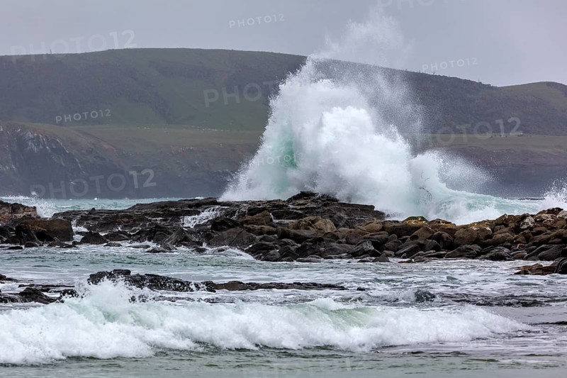 Waves, Curio Bay, Südland, Neuseeland