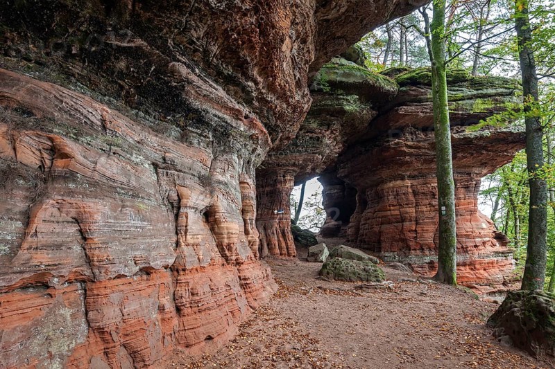 Old castle rock, red sandstone rock formation, natural and cultural monument, Brechenberg near Eppenbrunn, Palatinate Forest, Rhineland-Palatinate, Germany, Europe