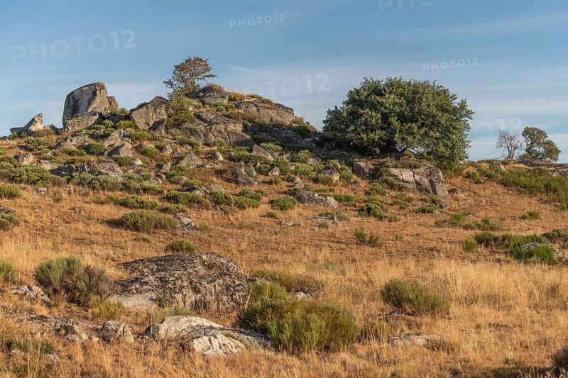 Landscape in Aubrac in summer, inspiring, infinite, enchanting, magical, peaceful, bewitching. Cevennes France