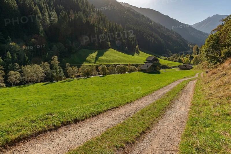 Agriculture, alpine pasture in the valley Zillergrund, mountain stream Ziller, alpine pasture, Zillertal Alps, path, mountain slope, coniferous forest, blue sky, Tyrol, Austria, Europe