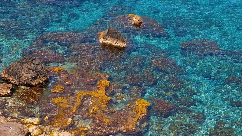 Green sea, lichen-covered rocks, detail, Marettimo, Egadi Islands, Sicily, Italy, Europe