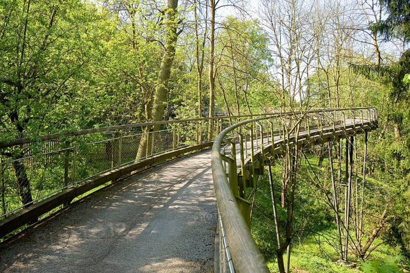 Tharandt Forest Botanical Garden of the TU Dresden, Zeisiggrundbrücke