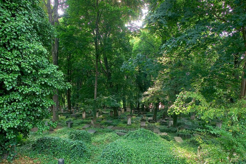 Eliasfriedhof, the oldest surviving cemetery, laid out in 1680 at the gates of the city, no longer used since 1876, many historical gravesites. It is the final resting place of Justine Renner, Schiller's Gustel von Blasewitz and the landscape painter Christian Clausen Dahl, among others