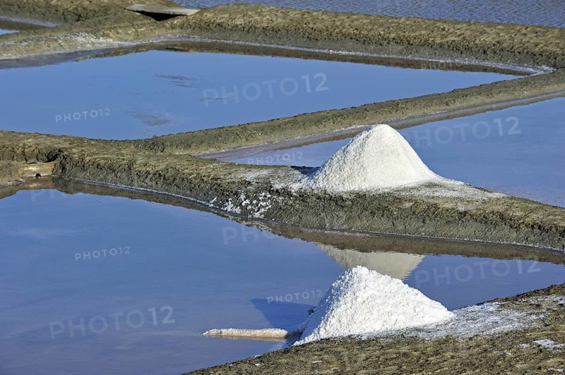 Salt pan for the poduction of Fleur de sel, sea salt on the island Ile de Ré, Charente-Maritime, France, Europe