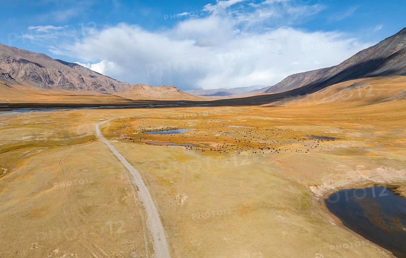Aerial view, Burkhan mountain valley with a herd of sheep, barren dramatic mountain landscape, Terskey Ala-Too, Tien Shan, Issyk Kul province, Kyrgyzstan, Asia