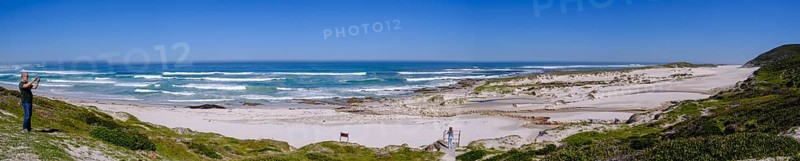 Sand dunes, Platboom Beach, Cape Point, Cape of Good Hope, Cape Peninsula, Western Cape, South Africa, Africa