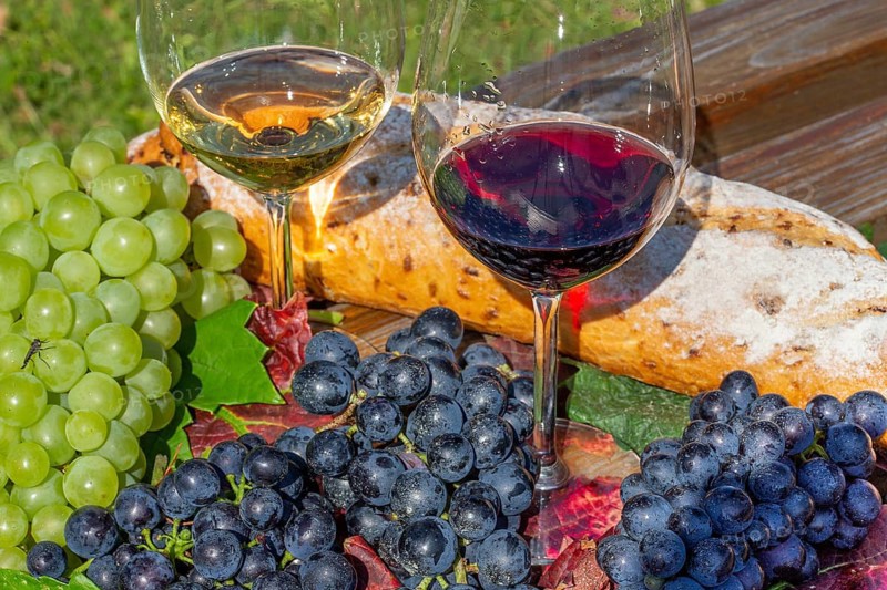 Symbolic image of grape grape harvest: Ripe grapes decorated with wine glasses on a wooden table