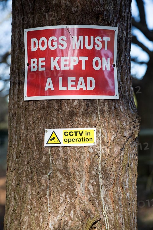 Dogs must be kept on a lead CCTV in operations signs on a tree, Suffolk, England, Uk