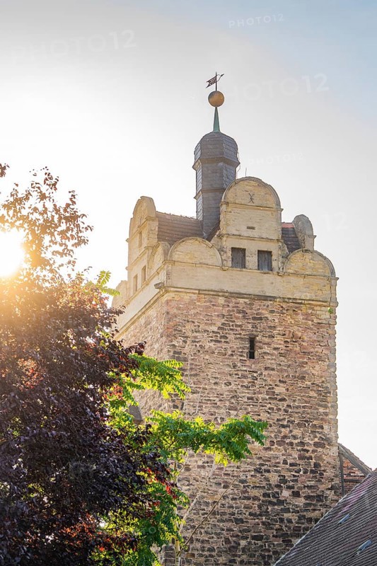 Stone castle tower in bright morning light with a weather vane and treetops in the foreground, Harz Mountains, Germany, Europe