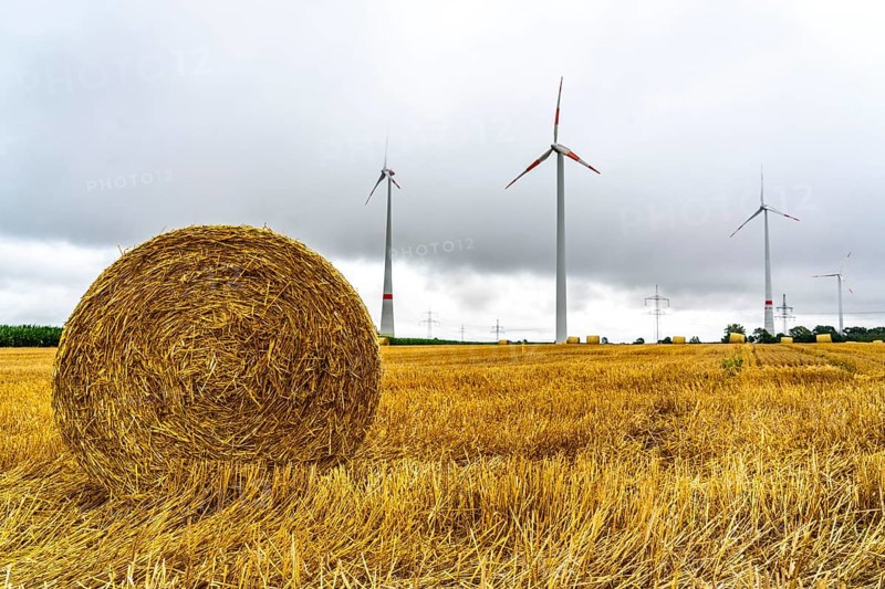 Power lines, high-voltage power lines, wind turbines, grain field, north-east of Höxter, North Rhine-Westphalia, Germany, Europe
