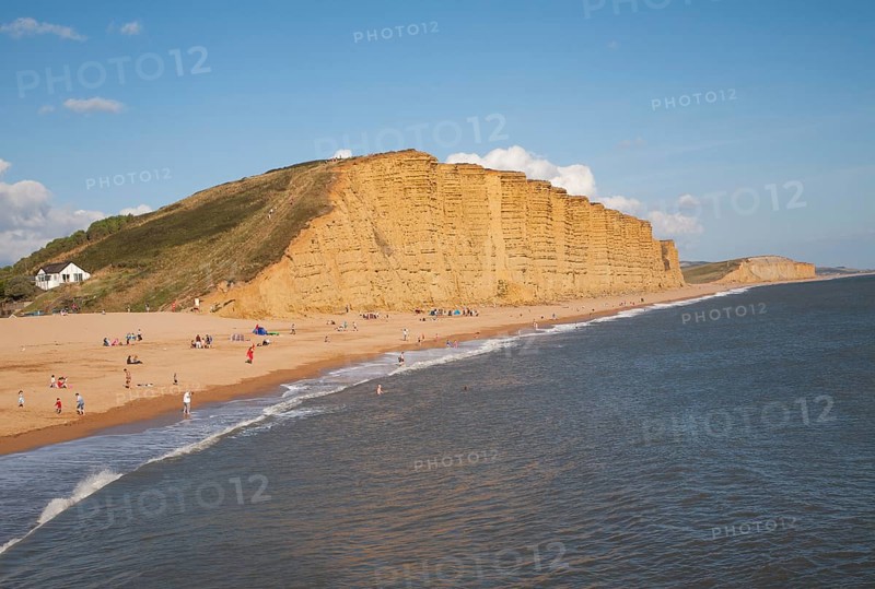Golden afternoon light on sandstone cliffs, East Cliffs, West Bay, Bridport, Dorset, England, UK