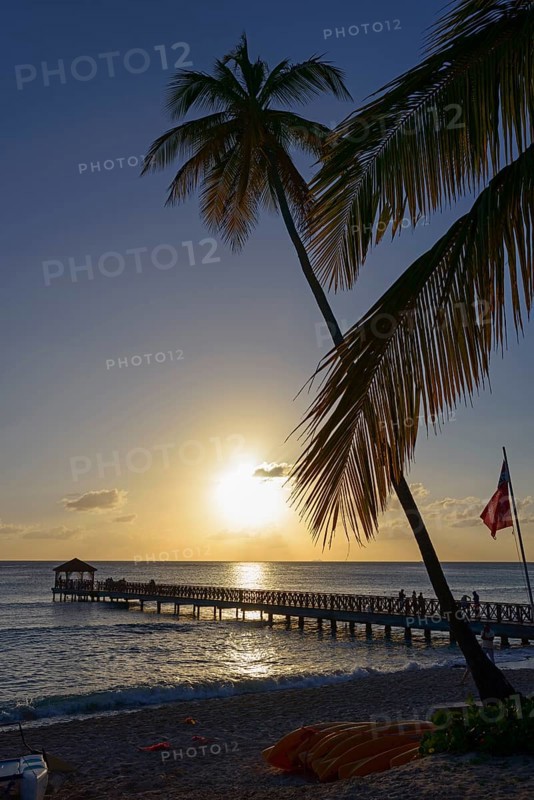 Evening sky with a sun reflected in the water, dominated by a palm tree and jetty, Dominicus beach, Bayahibe, Dominican Republic, Hispaniola, Caribbean, America, Central America