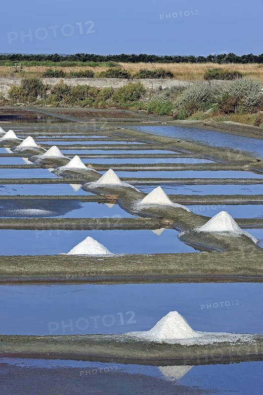 Salt pan for the production of Fleur de sel, sea salt on the island Ile de Ré, Charente-Maritime, France, Europe
