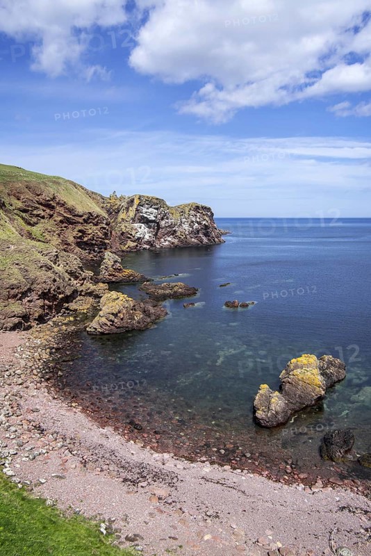St Abb's Head, rocky promontory and seabird nature reserve near the village Saint Abbs, Berwickshire, Scotland, UK