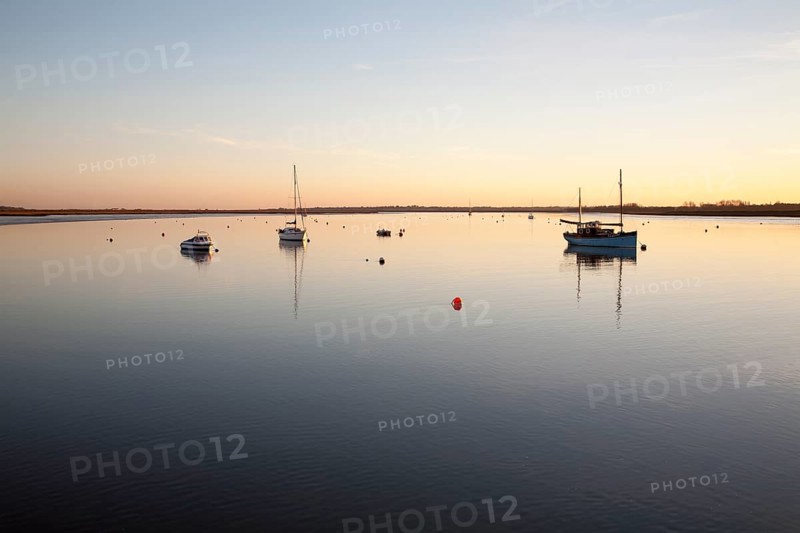 Boats at moorings at sunset on the River Deben, Ramsholt, Suffolk, England, United Kingdom, Europe