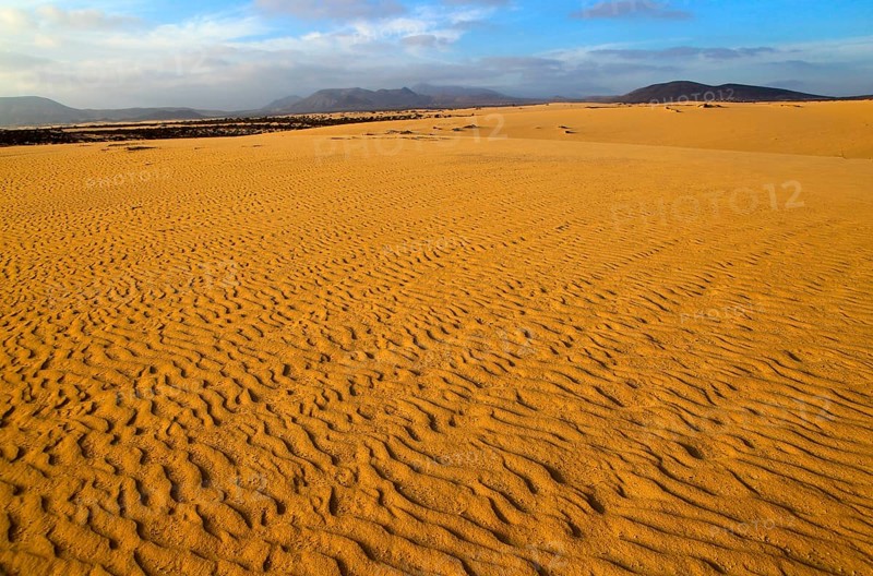 Sand dunes at Las Dunas natural park, Corralejo, Fuerteventura, Canary Islands, Spain, Europe