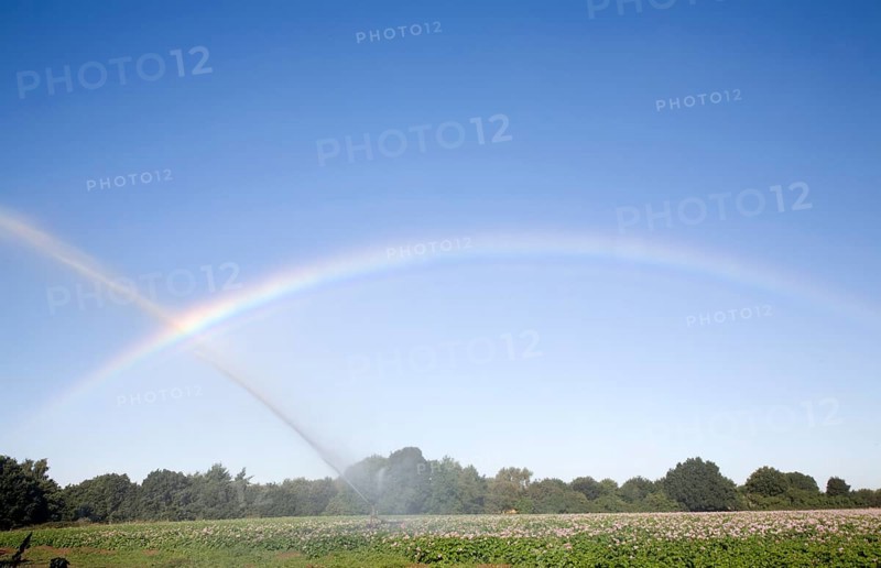 Rainbow created by crop irrigator spraying water on potatoes, Shottisham, Suffolk, England, United Kingdom, Europe