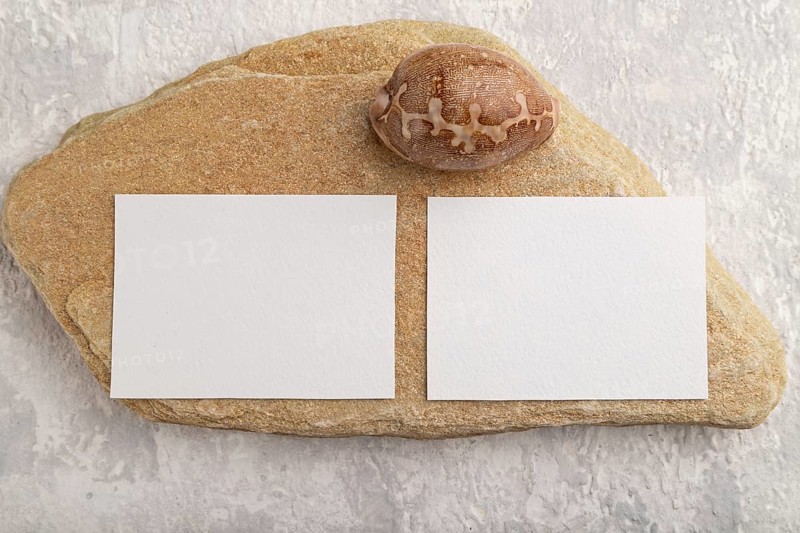 White paper business card, mockup with natural stone and seashell on gray concrete background. Blank, flat lay, top view, still life, copy space