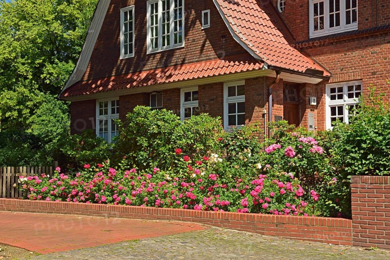 Europe, Germany, Hamburg, Bergedorf district, Schlossstr., City villa with roses, Hamburg, Hamburg, Federal Republic of Germany, Europe