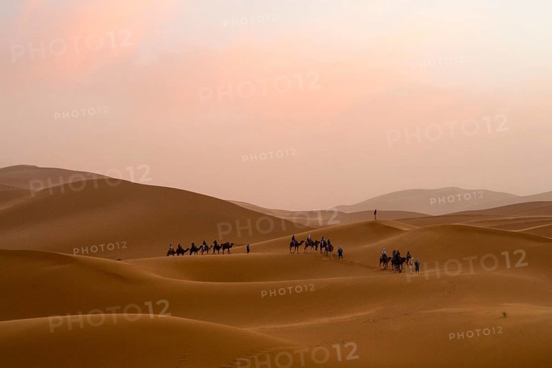 Sunset in the desert, camels and tourists, dunes, Erg Chebbi, Sahara, Merzouga, Morocco, Africa