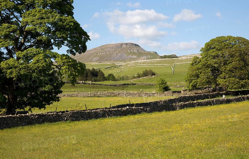 Carboniferous limestone scenery Pen Y Ghent, Yorkshire Dales national park, England, UK from Horton in Ribblesdale
