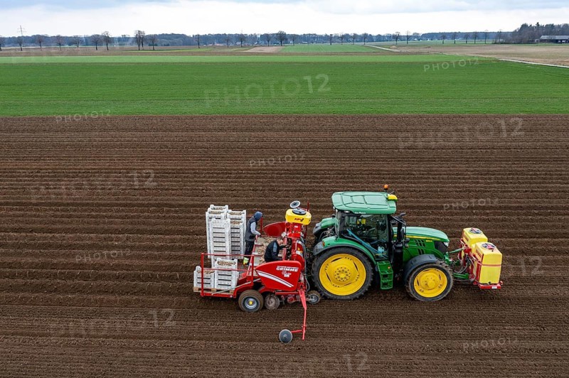 Early potatoes are placed in the soil of the field with a planting machine, Agriculture, Spring