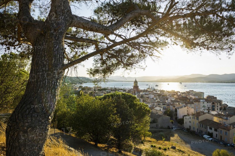 Panorama, Sunset, St. Tropez, Département Var, Cote d'Azur, Provence-Alpes-Côte d'Azur, South of France, France, Europe