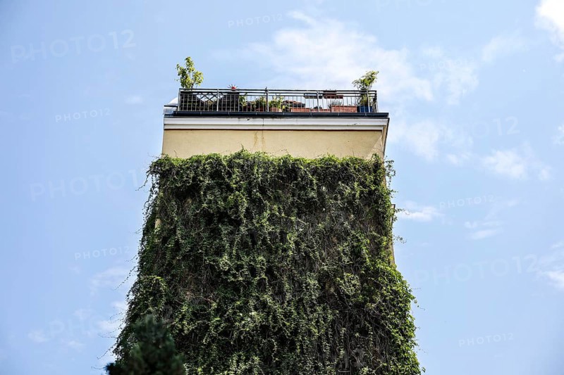 Green house facades and roof gardens. Greenery can reduce surface temperatures by up to 8 °C, insulates, contributes to biodiversity and filters pollutants from the air, Berlin, 7 June 2023