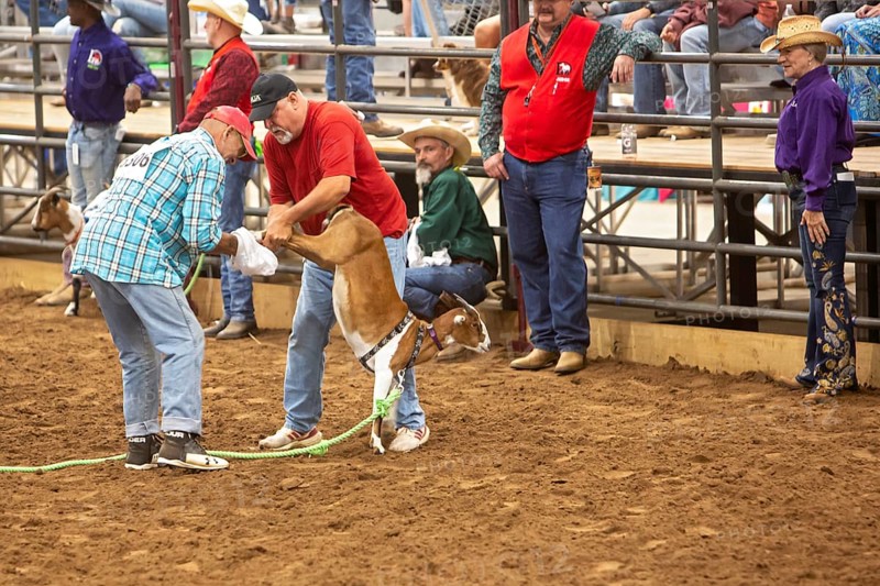 Oklahoma City, Oklahoma, The Great Plains Rodeo, an annual gay rodeo that features traditional rodeo competition while emphasizing the camaraderie of the LGBTQ community. Participants try for the fastest time in placing a pair of underpants on a goat
