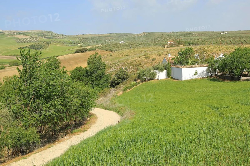 Farming landscape of Rio Setenil valley, Cuevas del Marques, Serrania de Ronda, Spain, Europe