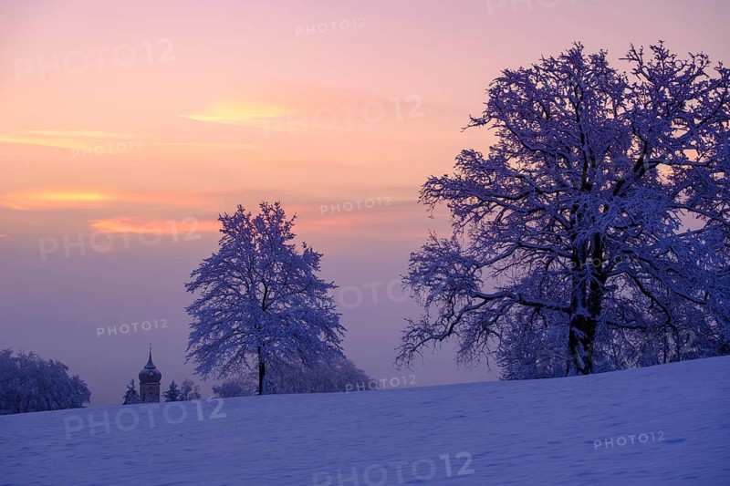 Sunrise with hoarfrost in winter, at the Schlossberg, Eurasburg, Loisachtal, Upper Bavaria, Bavaria, Germany, Europe