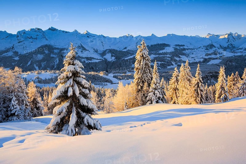 Sunrise with view from Ibergeregg to the Central Swiss Alps with Fronalpstock and Stoss, Schwyz, Switzerland, Europe