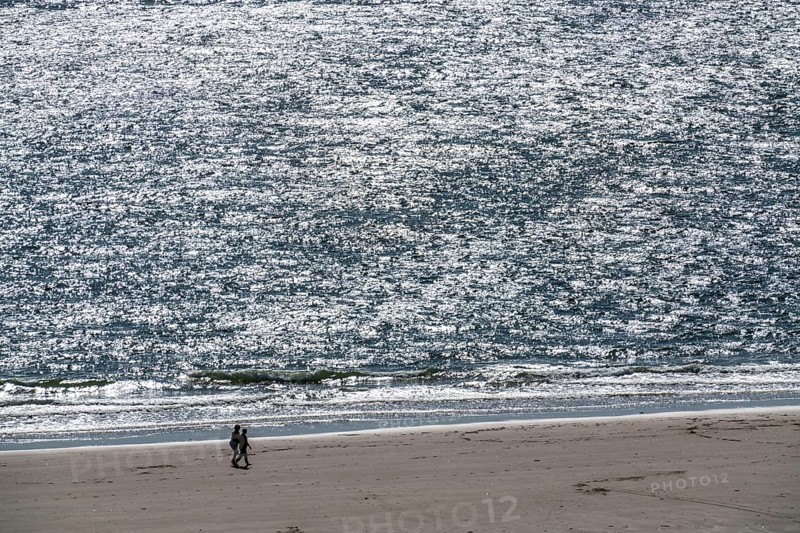 Strollers on the beach near Zoutelande Province of Zeeland, Walcheren Peninsula, Netherlands