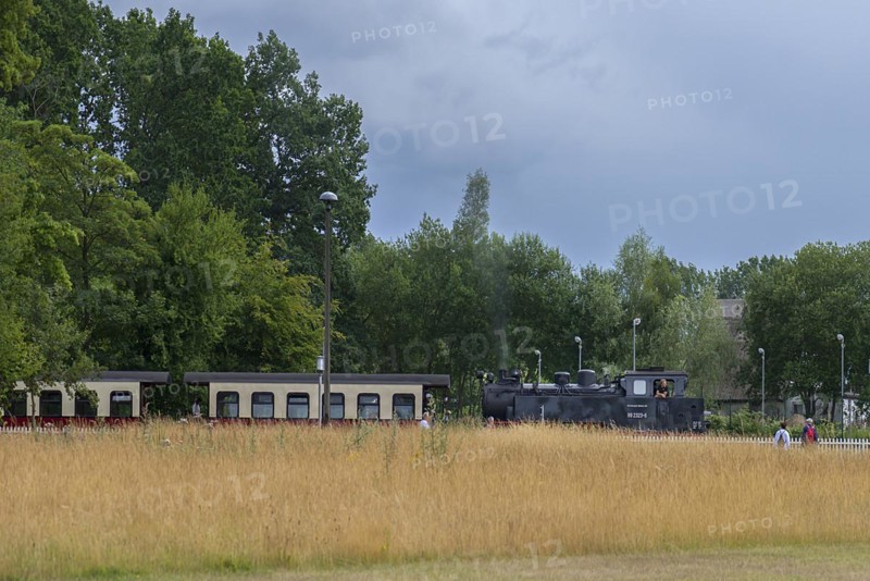 Historic, Mecklenburgische Bäderbahn Molli at Heiligendamm railway station, Mecklenburg-Vorpommern, Germany, Europe