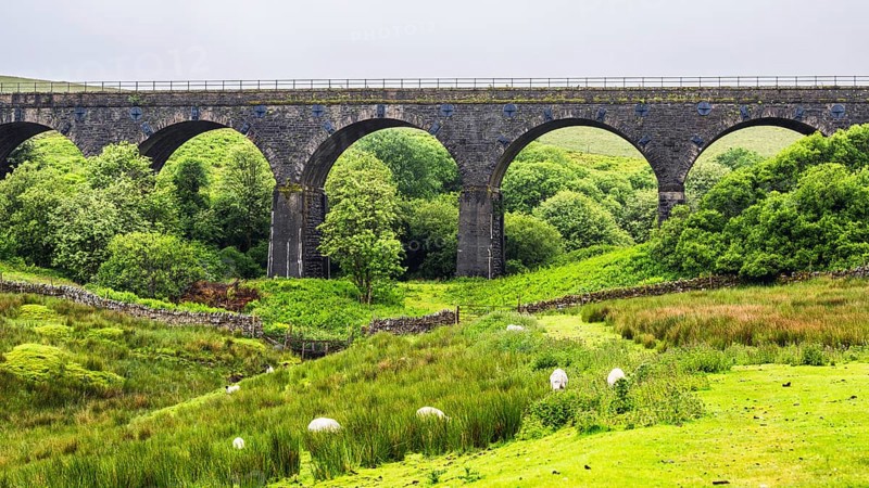 Viaduct and Sheeps on Farms in Yorkshire Dales National Park, North Yorkshire, England, United Kingdom, Europe