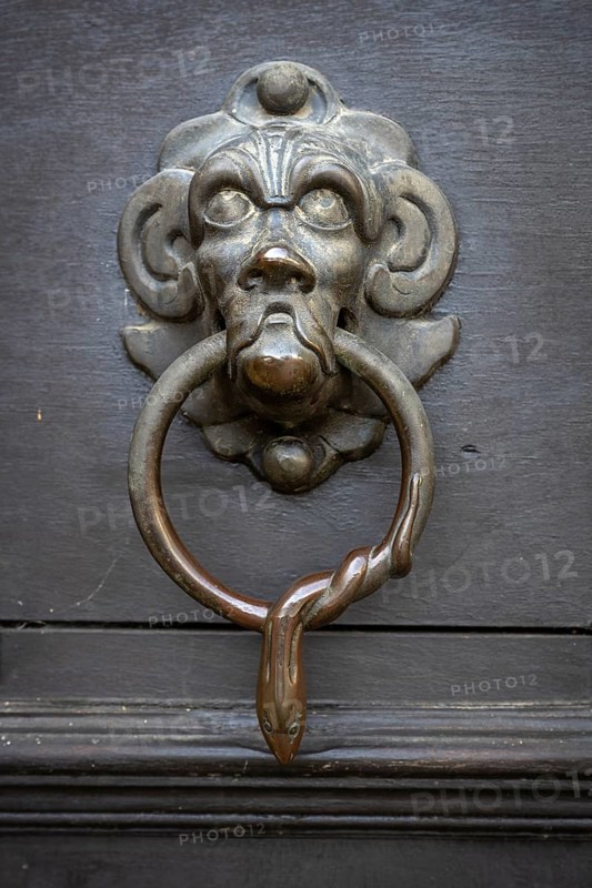 Lion's head, historical door knocker on a wooden door, Salem Castle, former imperial abbey, former monastery of the Cistercian order, Salem, Lake Constance, Lake Constance district, Baden-Württemberg, Germany, Europe