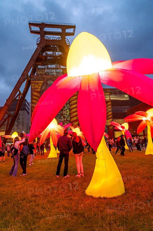 Extraschicht, the long night of industrial culture, cultural festival across the Ruhr region, 35 venues in 19 cities, here Illuminating flowers at the Zeche Zollverein in Essen, Doppelbock pithead winding tower shaft 12, North Rhine-Westphalia, Germany, Europe