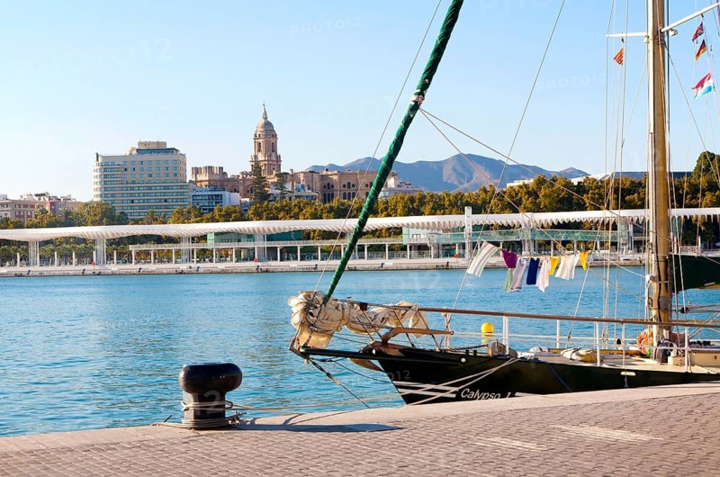 View over the harbour marina to the historic cathedral and city centre, Malaga, Spain, Europe