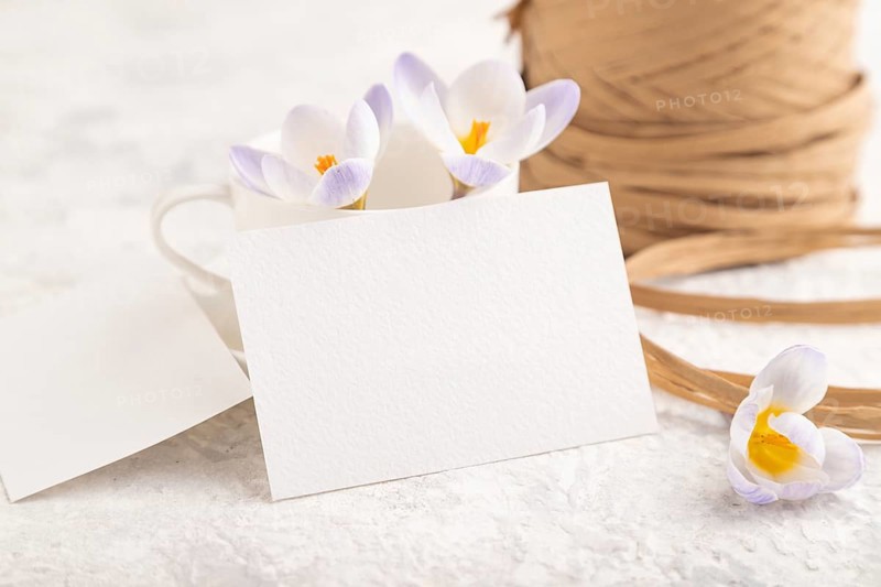 White paper invitation card, mockup with purple crocus snowdrop flowers on gray concrete background. Blank, side view, still life, copy space, wedding invitation