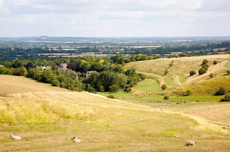 Ancient terraced fields known as strip lynchets cut into a chalk scarp slope at Bishopstone, Wiltshire, England, UK