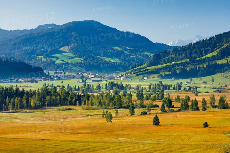 View over the Rothenthurm high moor with the village of Rothenthurm in the background, Schyz, Switzerland, Europe