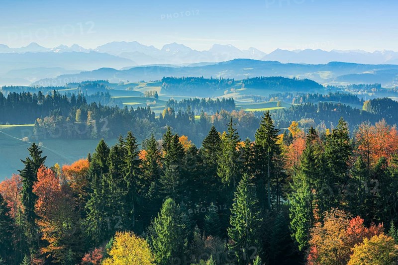 Emmental, Bernese Alps, Switzerland, Europe